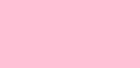 Rosa.jpg